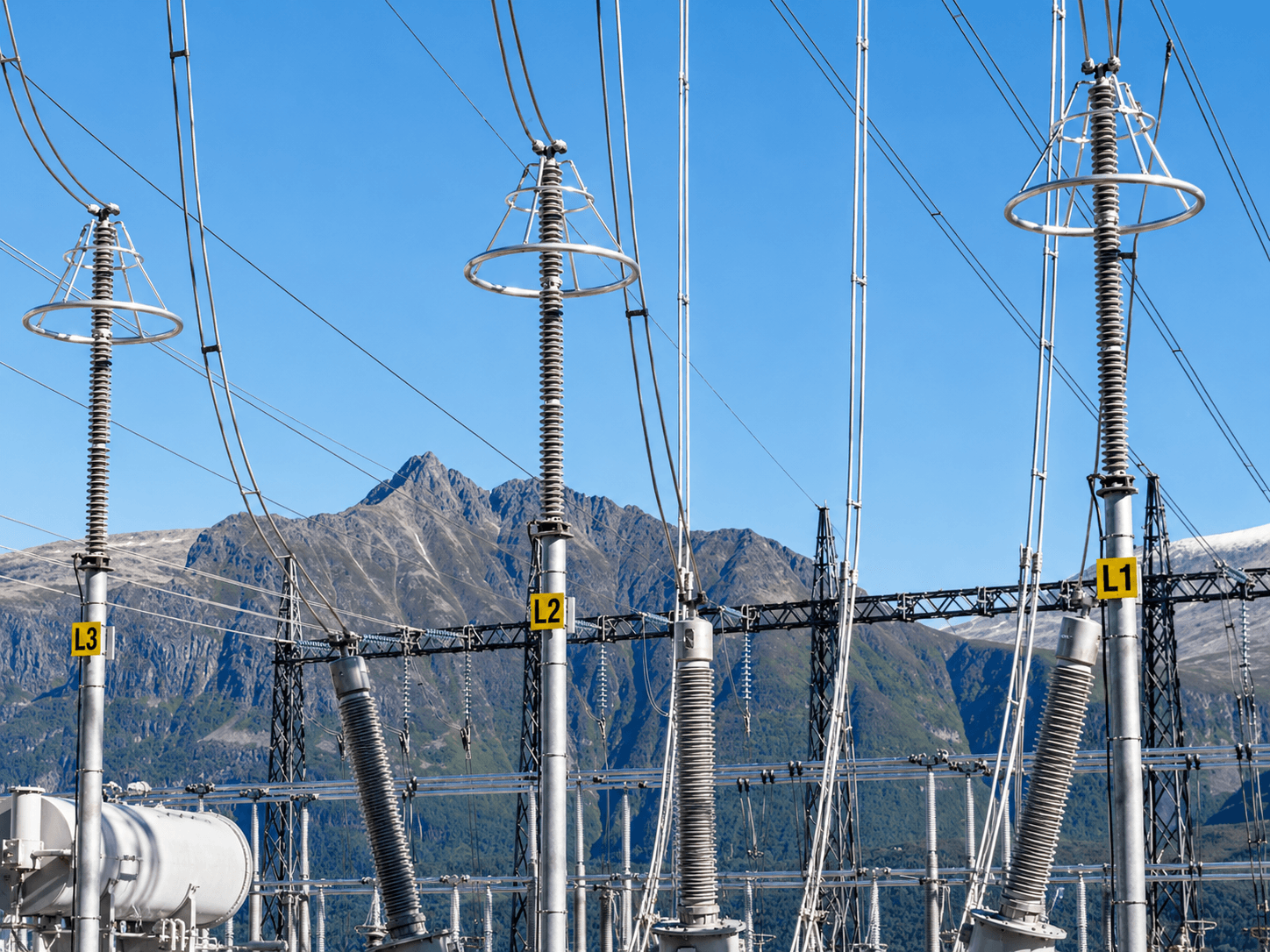 Station high-voltage surge arresters are used to discharge lightning or switching overvoltages to the ground..png